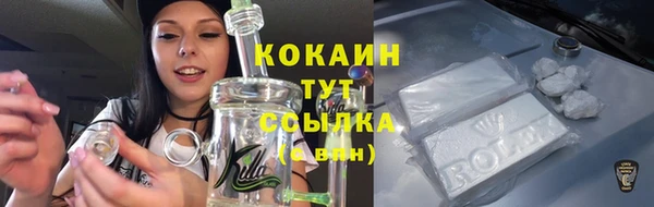 стаф Липки