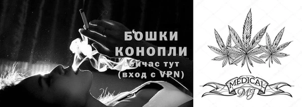 стаф Липки