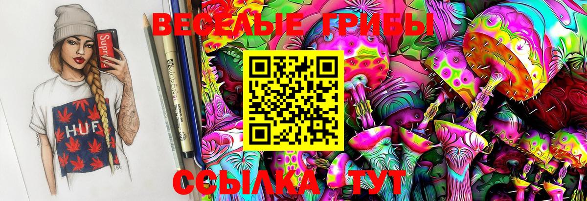 Псилоцибиновые грибы Magic Shrooms  Псилоцибиновые грибы Psilocybe  Егорьевск 