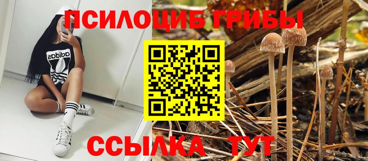 Егорьевск  Галлюциногенные грибы MAGIC MUSHROOMS  Вход с VPN 