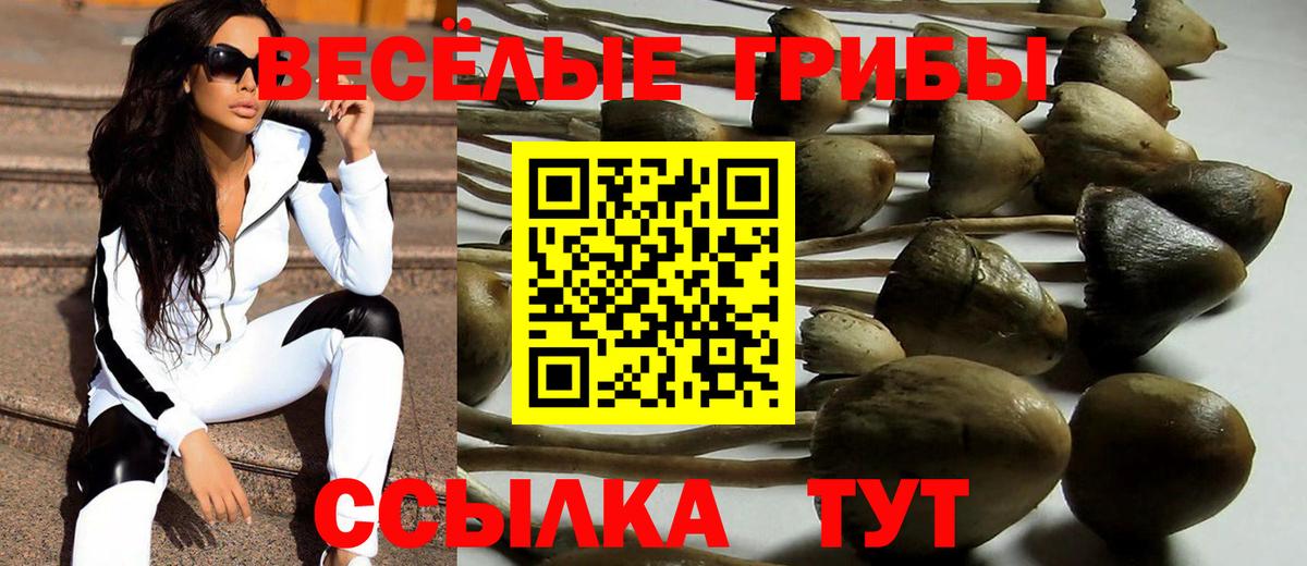 Галлюциногенные грибы GOLDEN TEACHER Егорьевск