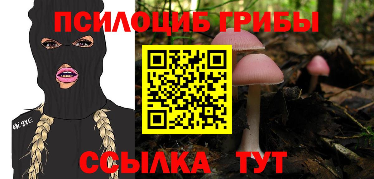 ГАШ  Егорьевск  Вход с VPN  Кетамин  Меф кристаллы  Cocaine  Альфа ПВП СК   ГАШИШ 